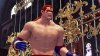 vf5revo.jpg