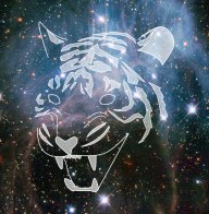TIGER IN SPACE