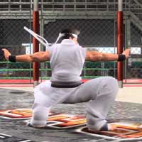 Haishin Ponken