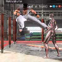 Hekiyakutai