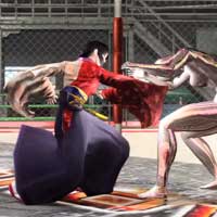 Chūdan Hiji'ate