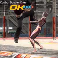 Combo Double Knee / 2nd Part
