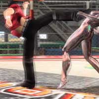 Elbow Hook~Screw High Kick