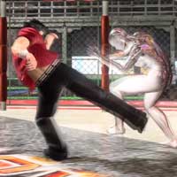 Combo Elbow Low Kick