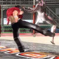 Jump Heavy Low Kick