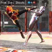 Goku Santeki / 2nd Part