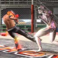 Jab~Low Kick