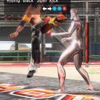 Rising Back Spin Kick