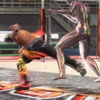 Back Spin Low Kick