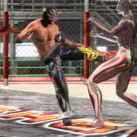 Shadow Spin Kick