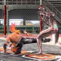 Slide Low Kick