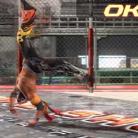 Fade Roll Kick / 2nd Part