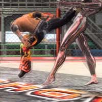 Spinning Thrust Kick