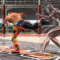 Fake Savate