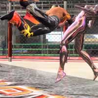 Flying Cross Chop