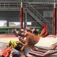 Cross Arm Face Lock