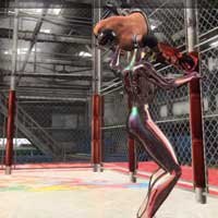 Swing DDT