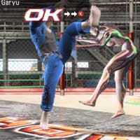 Garyū