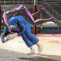 Karajishi Ipponze'oi