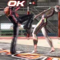 Standing Knee Kick