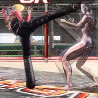 Standing Knee Kick Combo