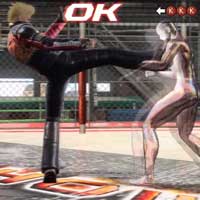 Standing Knee Kick Combo: Spark