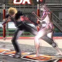 Smash Low Kick