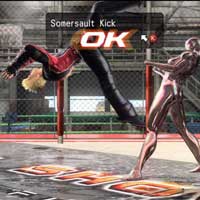 Somersault Kick