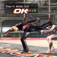 Step-in Middle Kick