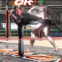 Middle Spin Kick