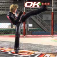 Lightning Kick 4