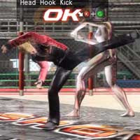 Head Hook Kick