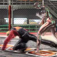 Leap Low Spin Kick