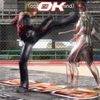 Turn Kick