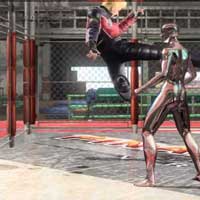React Round Kick