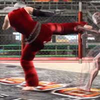 Tobi Ushiro Mawashigeri
