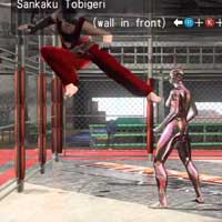 Sankaku Tobigeri
