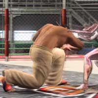 Dash Elbow