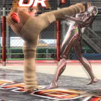 Upper Kick