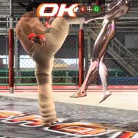 Scoop Kick