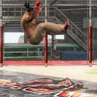 Raiden Drop
