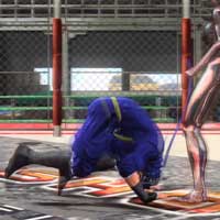 Shinsodan