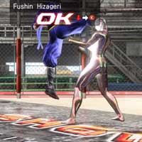 Fushin Hizageri