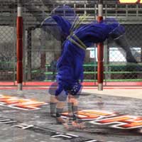 Senpūgeri