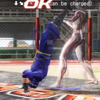 Ryūgakuha / Maximum Charge