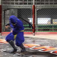 Shippūjin Ushirotsugiashi