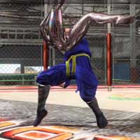 Ha'uragasumi