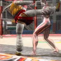 Renkan Tenshinkyaku
