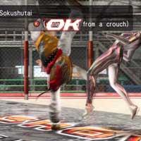 Sokushūtai