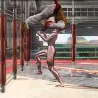 Raishin Nyūrin